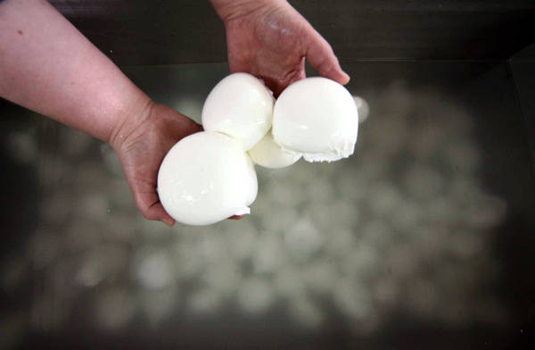 mozzarella bufala dop