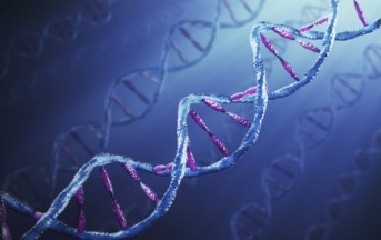 Usa: coppia si sposa ma non riesce ad avere figli, test Dna rivela sconvolgente verità