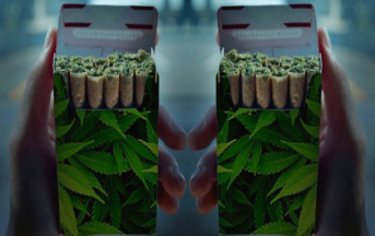 Marijuana, tra pro e contro: tutti i benefici e i molteplici effetti negativi