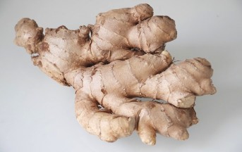 Dimagrire con lo zenzero: un fedele alleato per la nostra dieta