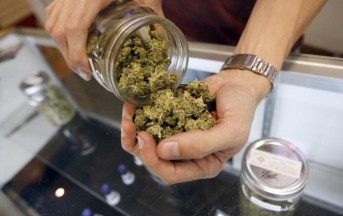 Piemonte: cannabis a scopo terapeutico e in farmacia, cosa curerà?