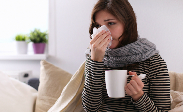 Influenza 2015 sintomi e picco