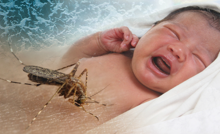 Zika Virus allarme Milano Lombardia