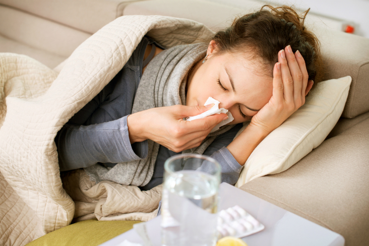 influenza 2016 picco