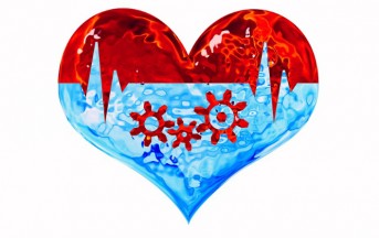 Il cuore spezzato dalla gioia, uno studio spiega la sindrome dei “cuori felici”