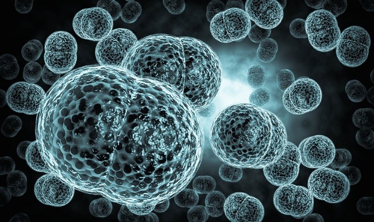 meningite nuovo caso napoli