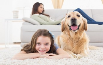 Animali domestici in casa in affitto: sì o no?