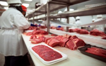 Batteri resistenti agli antibiotici: le cause e la situazione italiana