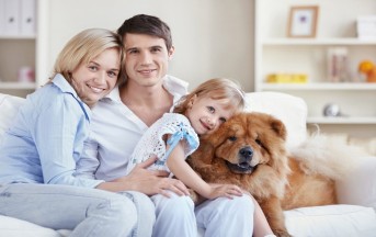 Animali in casa: pro e contro e come gestirli