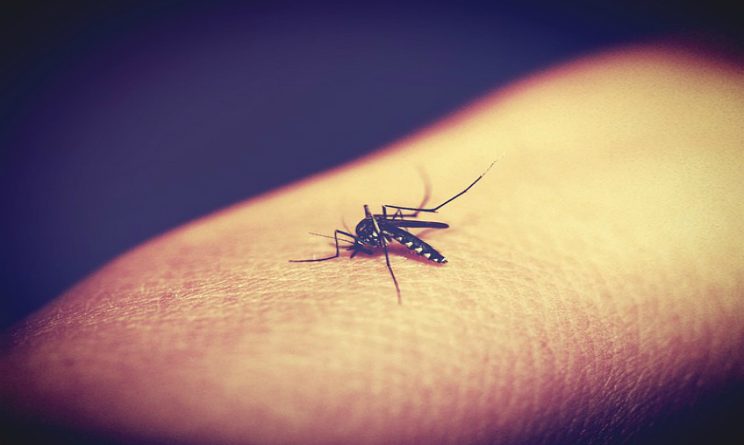 MALARIA CONTAGIO NEWS