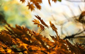 Equinozio d’autunno 2016: miti e tradizioni legate a questo giorno