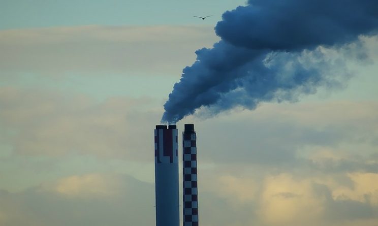 Smog e cervello contaminazione
