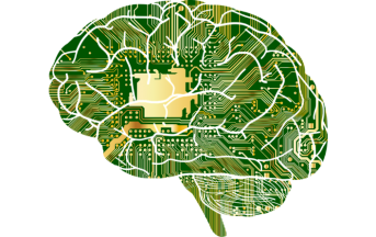 Il cervello e i comportamenti disonesti: così la nostra mente si abitua a commettere azioni scorrette
