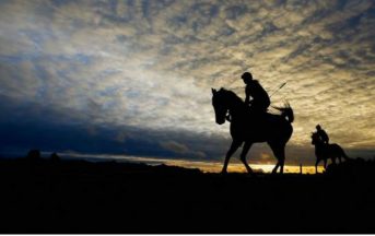 Fieracavalli Verona 2016: date e programma, tra atmosfere western e spettacolo