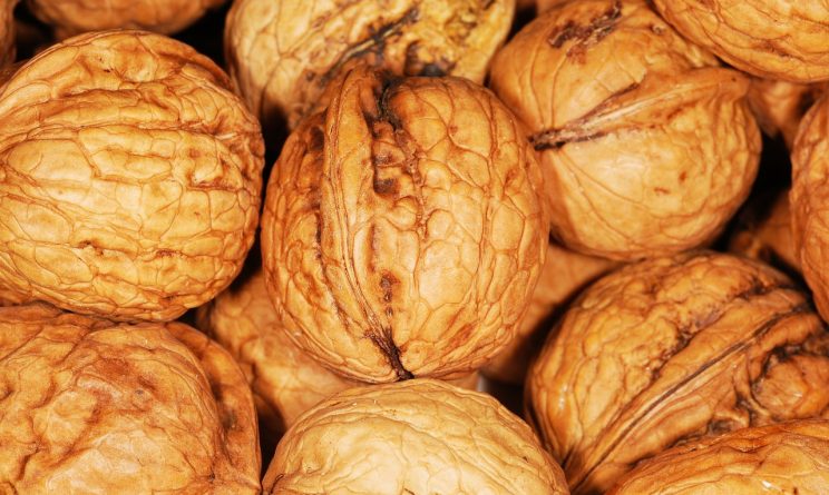 dieta paleo ricette