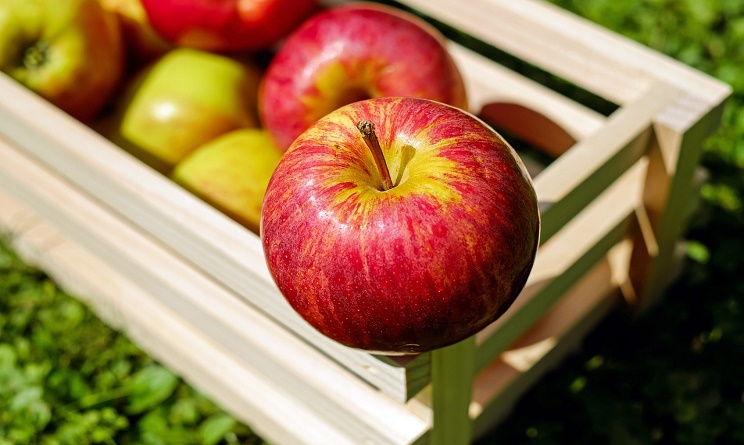 alimentazione e colori, cibo e colori, colore cibo, codice colore, codice colore alimentazione,