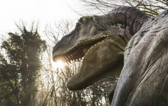 Mostre Napoli 2017: dai Dinosauri a Leonardo Da Vinci, ecco quelle imperdibili