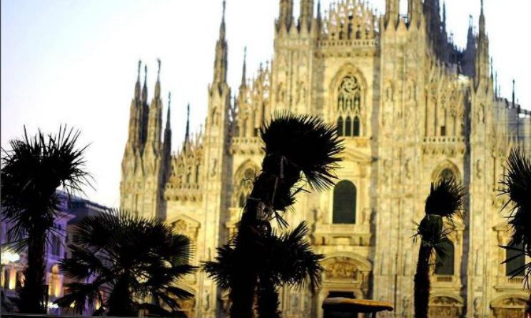 bruciate palme a milano