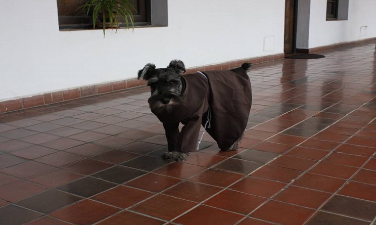 cane frate, cane diventato frate, cane adottato dal monastero,