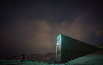 Svalbard Global Seed Vault: la banca dei semi si arricchisce di 50mila nuovi arrivi