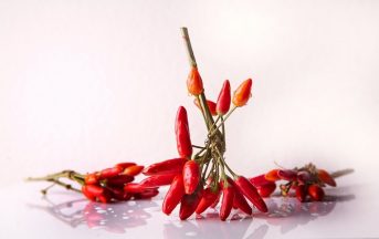 Dieta per dimagrire: 5 alimenti che aiutano a perdere peso