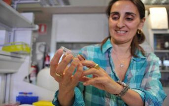 Biologa italiana scopre il bruco che digerisce la plastica: “Ricerca nata per caso”