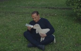 Berlusconi animali: il Cavaliere dà vita al primo Movimento politico Animalista