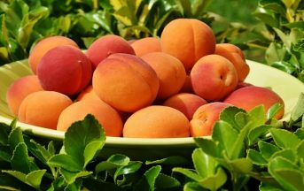 Abbronzatura: 10 cibi che preparano ad un colorito perfetto