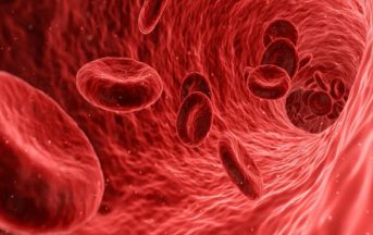 Anemia: nuovo farmaco potrebbe evitare le trasfusioni ai malati