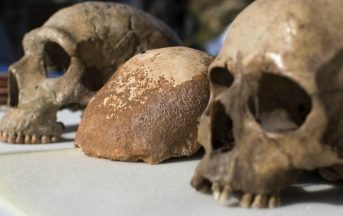 L’origine dell’Homo Sapiens potrebbe essere più antica, lo svela una ricerca scientifica
