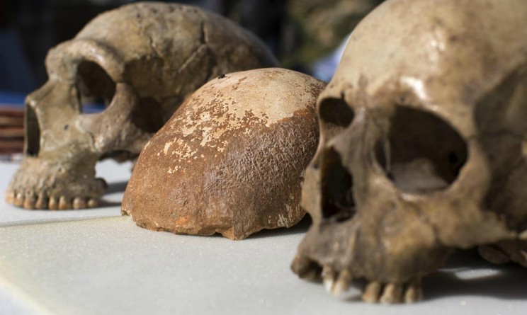 Homo Sapiens potrebbe essere piu antico di quanto pensiamo, lo svela una ricerca