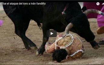 Francia, il torero Ivan Fandino muore incornato durante la corrida (VIDEO)