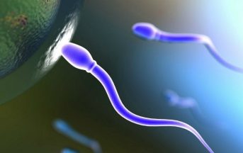 Infertilità maschile: numero di spermatozoi dimezzato nell’uomo occidentale