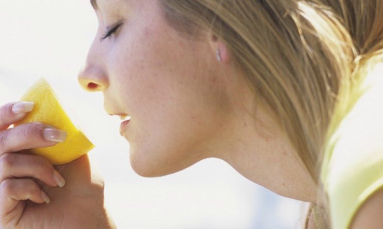 Obesita, annusare il cibo potrebbe fare ingrassare, lo conferma uno studio USA