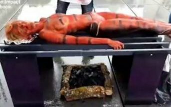 Parigi, attivisti vegan fanno arrostire un umano sul barbecue per denunciare il consumo di carne (VIDEO)