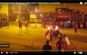 Orrore in Spagna: fiamme alle corna del Toro che impazzisce e si suicida (VIDEO)