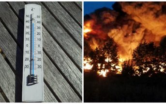 Caldo record in Italia, un’altra giornata pesantissima: imperversano gli incendi
