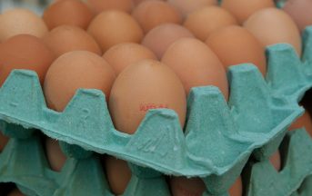 Uova contaminate da insetticida Fipronil in Italia: le ultime notizie