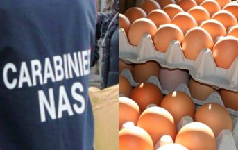 Uova contaminate al Fipronil in Italia: 90mila sequestri a Viterbo e Ancona