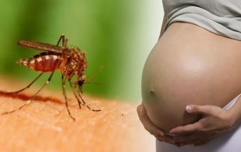 Virus Zika: da malattia ad arma contro il cancro
