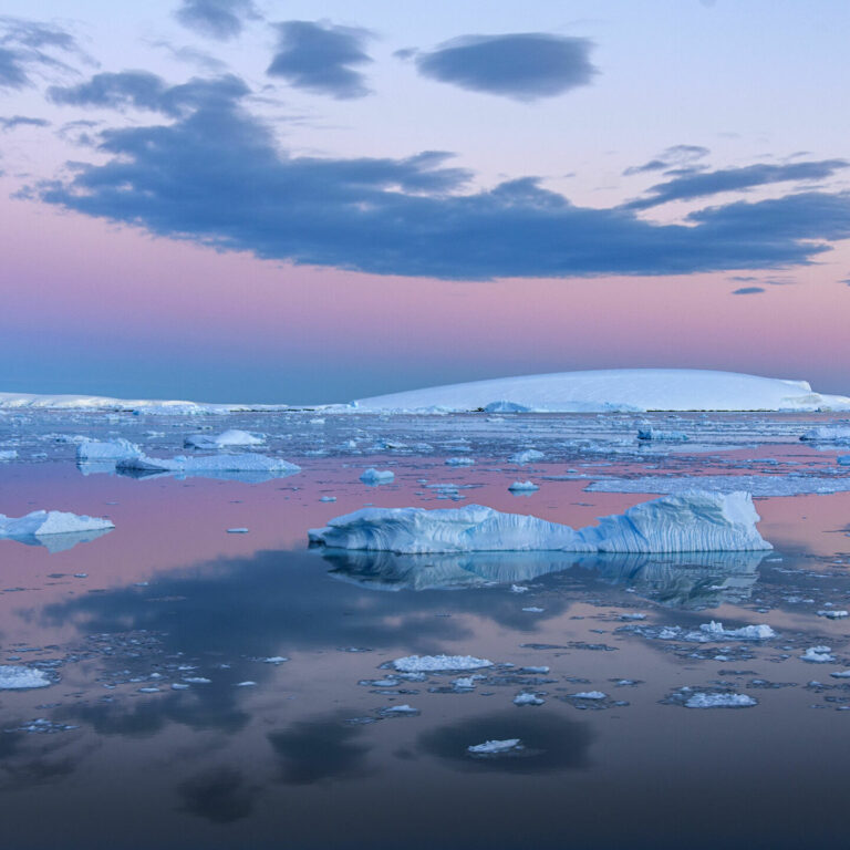 Iceberg Pi Grande Del Mondo Si Sciolto Staccato Dall Antartide