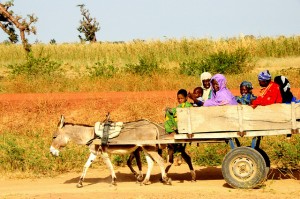 Contadini Africa Mali