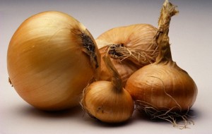 Onions --- Image by © Roy Morsch/zefa/Corbis