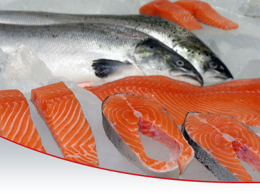 Salmone