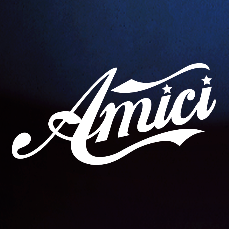 amici 2013
