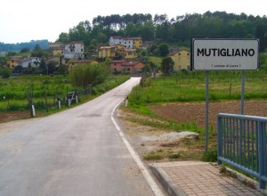 Mutigliano