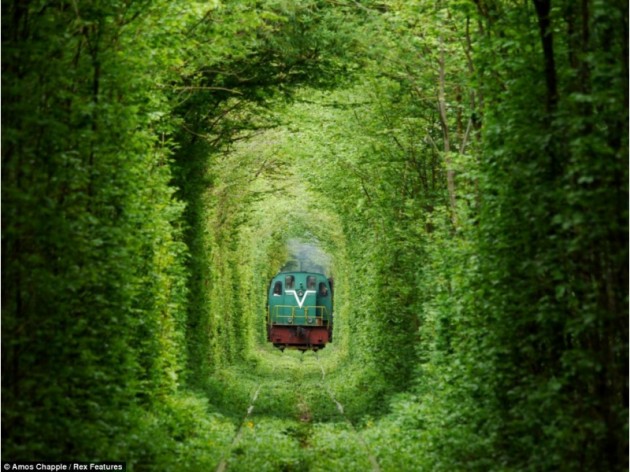the_tunnel_of_love_