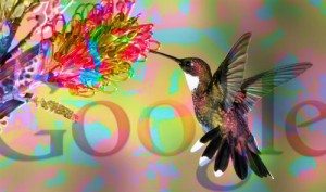 hummingbird_ndef