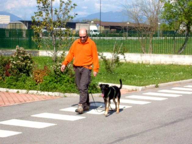 passeggiare con il cane