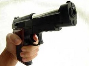 pistola strage Collegno
